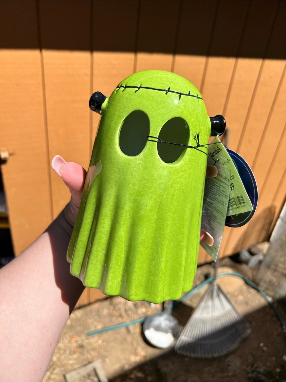FRANKENSTEIN GHOST